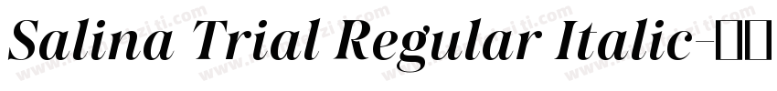 Salina Trial Regular Italic字体转换